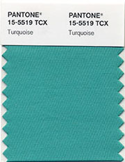 2010 Color of the year