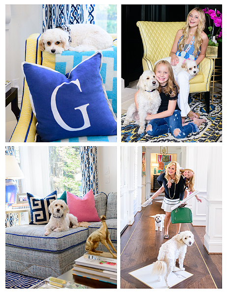 Shay Geyer - Designer Dogs with Gigi and Zoe